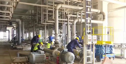 強鏈壯群 經開區新能源汽車及動力電池產業 春光無限